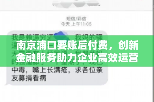 南京浦口要账后付费，创新金融服务助力企业高效运营