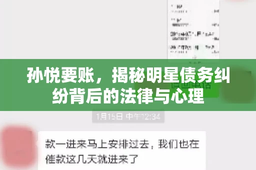 孙悦要账，揭秘明星债务纠纷背后的法律与心理