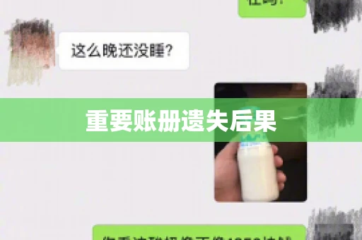 重要账册遗失后果