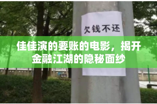 佳佳演的要账的电影，揭开金融江湖的隐秘面纱