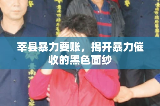 莘县暴力要账，揭开暴力催收的黑色面纱