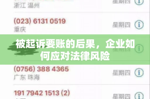 被起诉要账的后果，企业如何应对法律风险