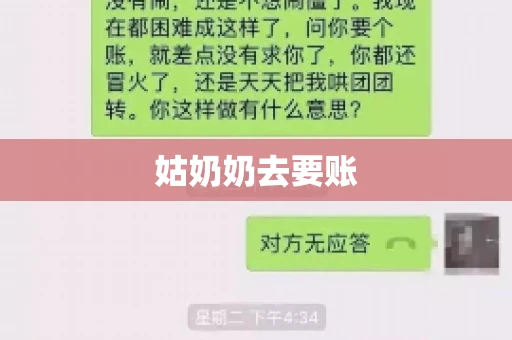 姑奶奶去要账