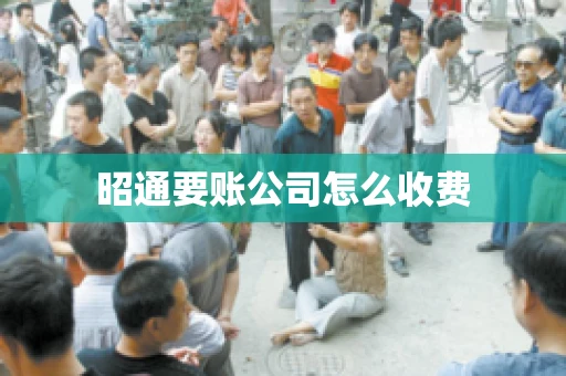 昭通要账公司怎么收费