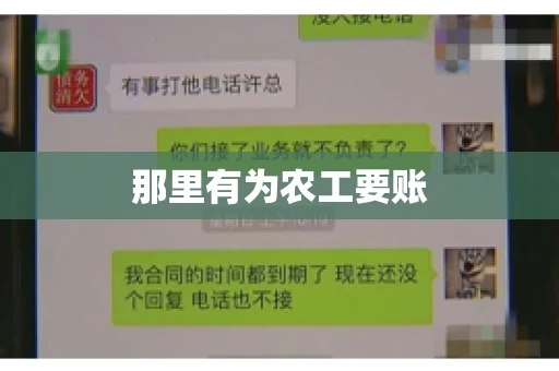那里有为农工要账