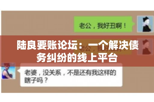 陆良要账论坛：一个解决债务纠纷的线上平台