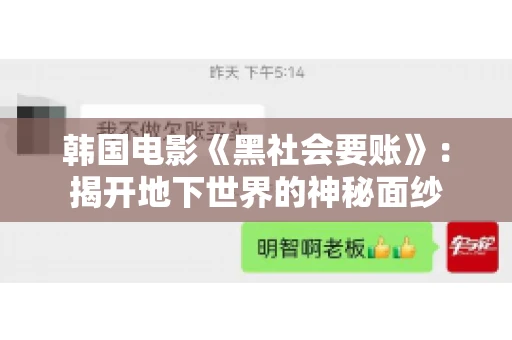 韩国电影《黑社会要账》:揭开地下世界的神秘面纱 韩国电影《黑社会要账》:揭开地下世界的神秘面纱