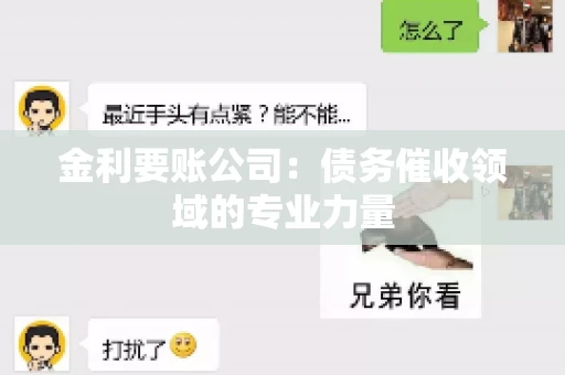 金利要账公司:债务催收领域的专业力量 金利要账公司:债务催收领域的专业力量