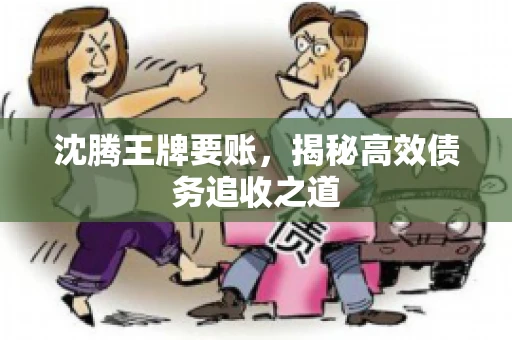 沈腾王牌要账,揭秘高效债务追收之道 沈腾王牌要账,揭秘高效债务追收之道