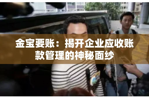 金宝要账：揭开企业应收账款管理的神秘面纱